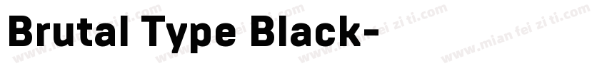 Brutal Type Black字体转换